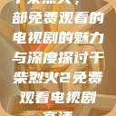 干柴烈火，一部免费观看的电视剧的魅力与深度探讨干柴烈火2免费观看电视剧高清  第1张