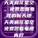 天美麻花星空，免费观看电视的新天地天美麻花星空免费观看电视青柠  第1张