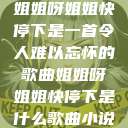 姐姐呀姐姐快停下是一首令人难以忘怀的歌曲姐姐呀姐姐快停下是什么歌曲小说  第1张