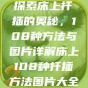 探索床上扦插的奥秘,108种方法与图片详解床上108种扦插方法图片大全 第1张 探索床上扦插的奥秘,108种方法与图片详解床上108种扦插方法图片大全 第1张