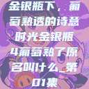 金银瓶下，葡萄熟透的诗意时光金银瓶4葡萄熟了原名叫什么_第01集  第1张