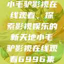 小毛驴影视在线观看，探索影视娱乐的新天地小毛驴影视在线观看6996集  第1张