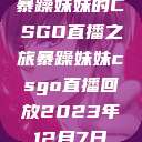 暴躁妹妹的CSGO直播之旅暴躁妹妹csgo直播回放2023年12月7日  第1张