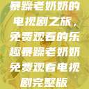 暴躁老奶奶的电视剧之旅，免费观看的乐趣暴躁老奶奶免费观看电视剧完整版  第1张