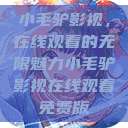 小毛驴影视，在线观看的无限魅力小毛驴影视在线观看免费版  第1张