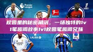校园里的秘密角落，一场独特的1v1笔趣阁故事1v1校园笔趣阁兄妹  第1张