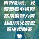 青柠影院,免费观看电视剧高清的魅力青丝影院免费观看电视剧策驰 第1张 青柠影院,免费观看电视剧高清的魅力青丝影院免费观看电视剧策驰 第1张