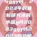 探索小蓝g钙与ggy钙，2023年的最新研究进展小蓝g钙2023ggy钙2023的功能介绍  第1张