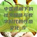 中国视角下的社交媒体与数字时代的性感文化с9'  第1张