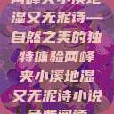 两峰夹小溪地湿又无泥诗—自然之美的独特体验两峰夹小溪地湿又无泥诗小说免费阅读  第1张