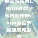暴躁妹妹的CSGO直播之旅暴躁妹妹csgo直播节目回放完整版  第1张