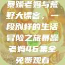 暴躁老妈与荒野大镖客，一段别样的生活冒险之旅暴躁老妈46集全免费观看  第1张