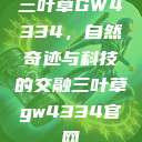 三叶草GW4334，自然奇迹与科技的交融三叶草gw4334官网  第1张