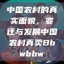 中国农村的真实面貌，变迁与发展中国农村真卖Bbwbbw  第1张