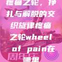 疼痛之轮，挣扎与解脱的交织旋律疼痛之轮wheel of pain在哪里  第1张