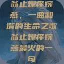 翁止熄痒婉燕，一曲和谐的生命之歌翁止熄痒婉燕最火的一句  第1张