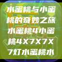 水蜜桃与小蜜桃的奇妙之旅水蜜桃4小蜜桃4X7X7X7灯水蜜桃水  第1张
