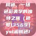 探索YSL蜜桃色，一场色彩美学的独特之旅（色号13569）ysl蜜桃色13569图片  第1张