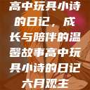 高中玩具小诗的日记，成长与陪伴的温馨故事高中玩具小诗的日记六月观主  第1张