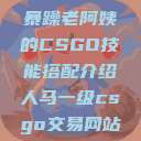 暴躁老阿姨的CSGO技能搭配介绍人马一级csgo交易网站  第1张