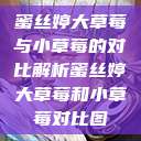 蜜丝婷大草莓与小草莓的对比解析蜜丝婷大草莓和小草莓对比图  第1张
