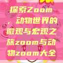 探索Zoom，动物世界的微观与宏观之旅zoom与动物zoom大全  第1张