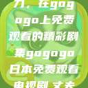 探索日本电视剧的无尽魅力，在gogogo上免费观看的精彩剧集gogogo日本免费观看电视剧,丈夫不在的午后时光》  第1张