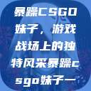暴躁CSGO妹子，游戏战场上的独特风采暴躁csgo妹子一  第1张