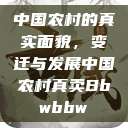 中国农村的真实面貌，变迁与发展中国农村真卖Bbwbbw  第1张