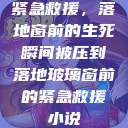 紧急救援，落地窗前的生死瞬间被压到落地玻璃窗前的紧急救援小说  第1张