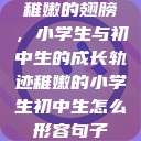 稚嫩的翅膀，小学生与初中生的成长轨迹稚嫩的小学生初中生怎么形容句子  第1张