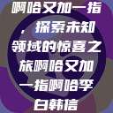 啊哈又加一指，探索未知领域的惊喜之旅啊哈又加一指啊哈李白韩信  第1张