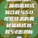 蜜桃成熟时，探索蜜桃成熟过程与5D视觉技术的奥秘蜜桃成熟时5d澎湃新闻  第1张