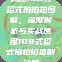 揭秘108式招式拍拍拍图解，深度解析与实战应用108式招式拍拍拍图解动图  第1张
