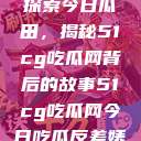 探索今日瓜田，揭秘51cg吃瓜网背后的故事51cg吃瓜网今日吃瓜反差婊  第1张