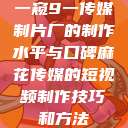一窥9一传媒制片厂的制作水平与口碑麻花传媒的短视频制作技巧和方法  第1张
