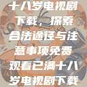 免费观看已满十八岁电视剧下载，探索合法途径与注意事项免费观看已满十八岁电视剧下载在线播放  第1张