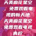 天美麻花星空,免费观看电视的新天地天美麻花星空免费观看电视青柠 第1张 天美麻花星空,免费观看电视的新天地天美麻花星空免费观看电视青柠 第1张