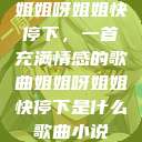 姐姐呀姐姐快停下，一首充满情感的歌曲姐姐呀姐姐快停下是什么歌曲小说  第1张