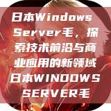 日本Windows Server毛，探索技术前沿与商业应用的新领域日本WINDOWSSERVER毛  第1张