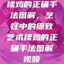 揉鸡的正确手法图解，烹饪中的细致艺术揉鸡的正确手法图解视频  第1张