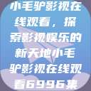 小毛驴影视在线观看，探索影视娱乐的新天地小毛驴影视在线观看6996集  第1张