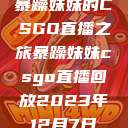 暴躁妹妹的CSGO直播之旅暴躁妹妹csgo直播回放2023年12月7日  第1张