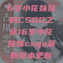 电竞新星，16岁小花妹妹的CSGO之旅16岁小花妹妹csgo最新版本更新内容  第1张