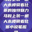 马鞍上装一根大木棒骑着比赛的独特魅力马鞍上装一根大木棒骑着比赛小说笔趣阁  第1张