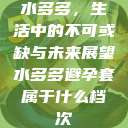 水多多,生活中的不可或缺与未来展望水多多避孕套属于什么档次 第1张 水多多,生活中的不可或缺与未来展望水多多避孕套属于什么档次 第1张