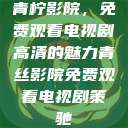 青柠影院，免费观看电视剧高清的魅力青丝影院免费观看电视剧策驰  第1张