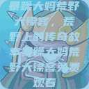 暴躁大妈荒野大镖客，荒野上的传奇故事暴躁大妈荒野大镖客免费观看  第1张