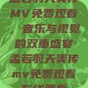 孟若羽天美传MV免费观看，音乐与视觉的双重盛宴孟若羽天美传mv免费观看在线观看  第1张