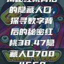 揭秘红桃背后的隐藏人口，探寻数字背后的秘密红桃38.47隐藏人口7004658  第1张